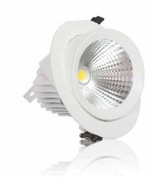 ZOOM ROUND COB SPOT LAMP
